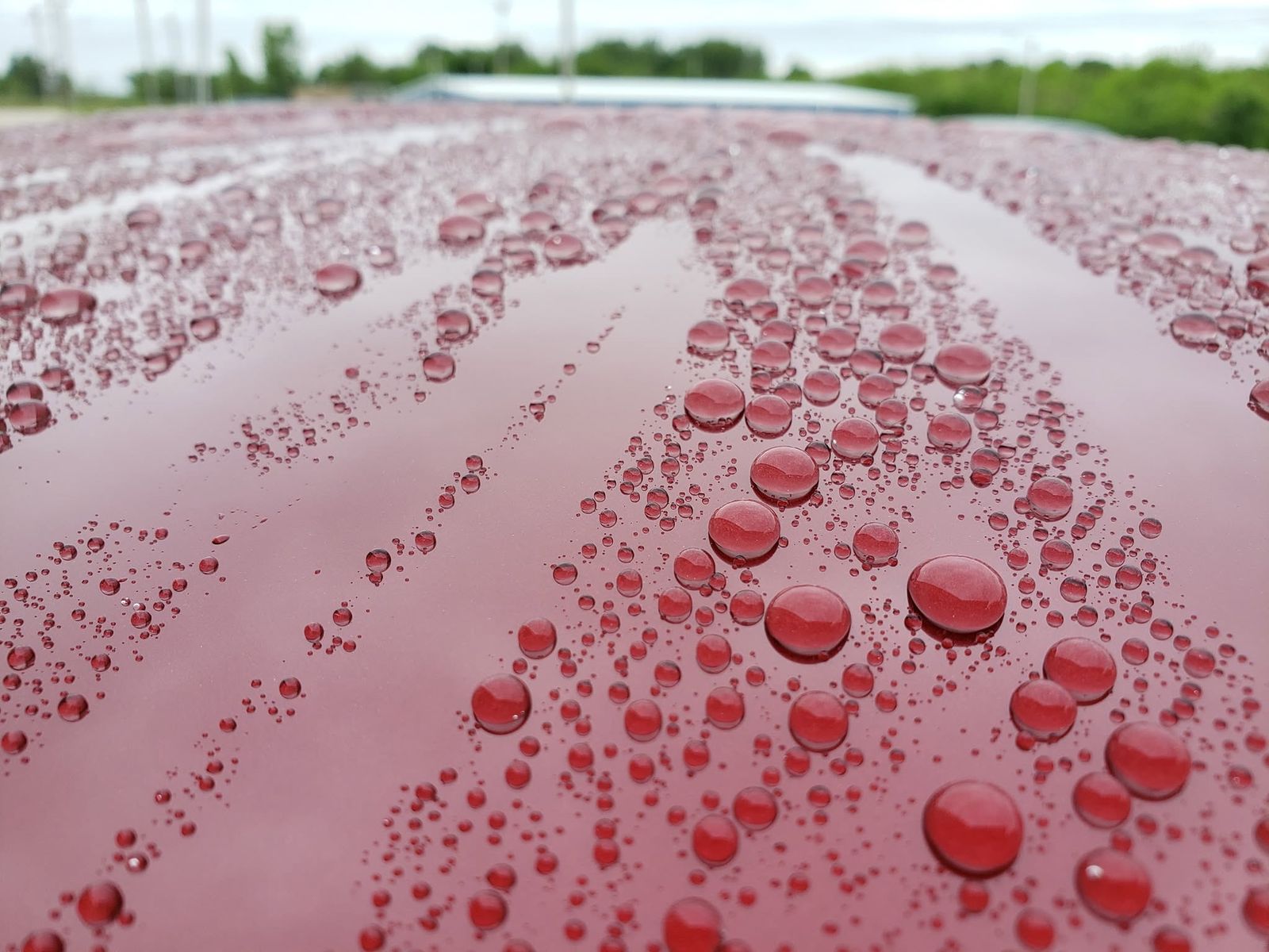 Water beading on the coated hood of a red Corvette